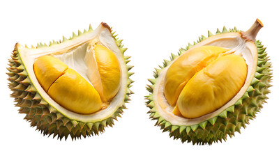 Durian fruits set, fresh fruits sliced isolated
