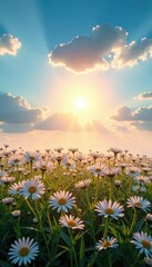 The morning sun casts a warm glow on a field of fluffy white clouds drifting across the pale blue sky, sun, sky