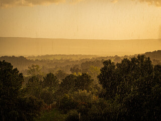 Graupel storm over the forest with a hilly landscape bathed in warm light