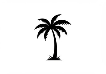 Obraz premium Palm tree icon