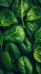 Obraz premium Vibrant Fresh Spinach Leaves Close Up Capturing Detailed Texture and Rich Green Color in Natural Light for Healthy Eating