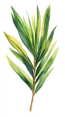 Fototapeta premium Watercolor Painting of Tropical Green and Yellow Leaves on White Background Botanical Illustration