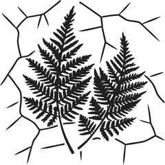 Silhouette of fern leaves on cracked background, botanical nature design.