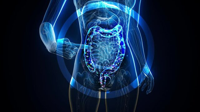Conceptual animation of the gut microbiome