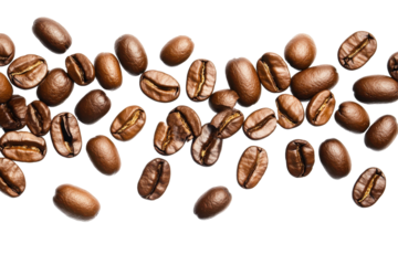 Freshly Roasted Coffee Beans Spread on Dark Surface