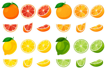 Grapefruit, orange, lemon, lime set. Vector flat cartoon illustration. Citrus tropical fruit design elements collection