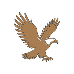 Obraz premium bald eagle vector, eagle in flight
