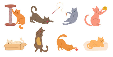 Obraz premium cat accessories set cartoon cats supplies cute pets bundle illustration