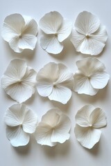 Fototapeta premium Elegant array of delicate white hydrangea petals on a serene background capturing purity and floral beauty in a minimalist style
