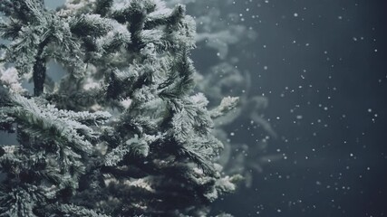 gothic background dark night forest tree winter cold nature snow falling, fairy tale scene moon light fog snowfall slow motion. Fantasy magic holiday christmas new year. spruce covered with frost 4k - Powered by Adobe