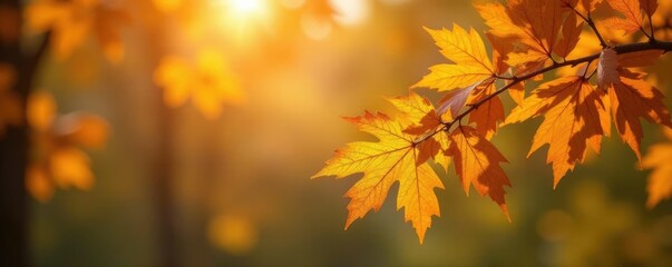 Fototapeta premium Gentle autumn breeze blows through oak leaves, branches, photograph, fall season