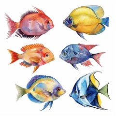 Fototapeta premium Fishes watercolor isolated on a white background. Summer hand drawing painting tropical fish, underwater