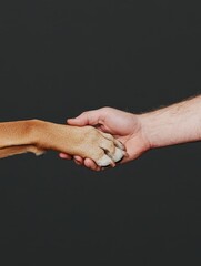 A human hand gently clasps the paw of a dog, illustrating a bond between them. The dark backdrop emphasizes the softness of their touch and the warmth of companionship