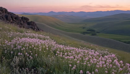 Fototapeta premium Explore the wild beauty of majestic nature