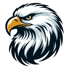 Eagle vector and illustrations