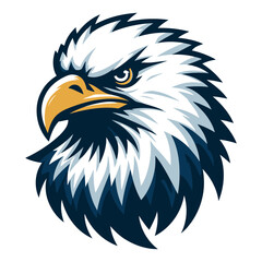 Fototapeta premium Eagle vector and illustrations