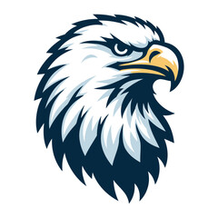 Fototapeta premium Eagle vector and illustrations