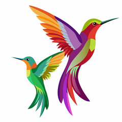 Obraz premium hummingbird in flight