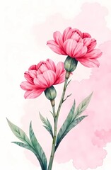 Obraz premium Pink carnation on a soft light pink background, with space for text for Mother's Day.