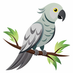 parrot on a branch