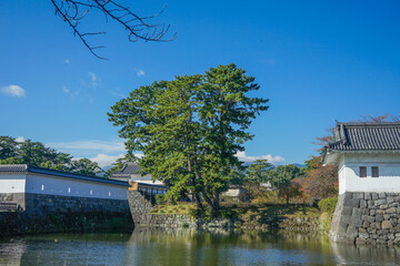 Obraz premium Green trees and moat under the blue sky