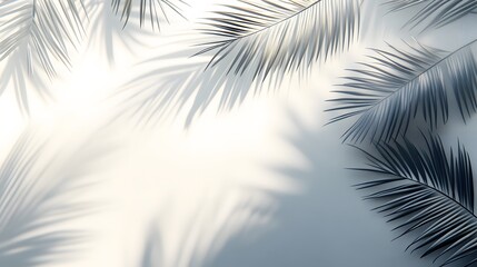 Obraz premium 5. Elegant shadow effect from palm fronds on a transparent background, adding a tropical feel to design elements
