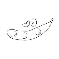 Edamame Outline Icon Illustration on White Background