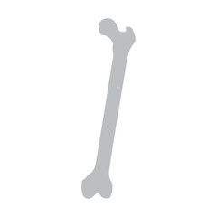femur posterior icon