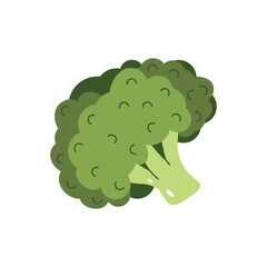 Flat style illustration of broccoli, ideal for healthy eating, cooking projects, and vegetable-inspired designs.