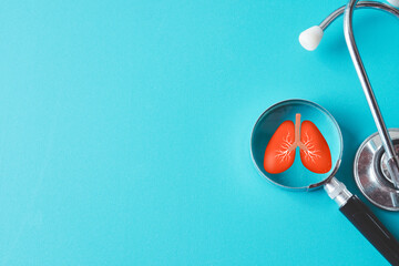 Magnifying glass focusing on human lungs with a stethoscope on a blue background concept for lung health,COPD,eco air pollution,pulmonology, respiratory care, lung health awareness.