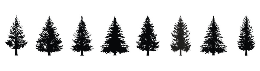 Black Silhouette Pine Tree Icons in Row on white Background