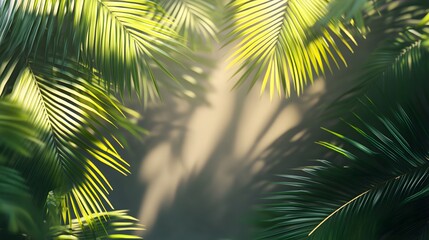 Obraz premium 18. Realistic palm tree leaf shadows on a transparent background, bringing a warm summer ambiance