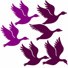 Five purple geese in flight, a silhouette illustration vector design isolated on white background