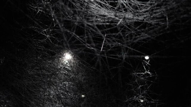 A dark and intricate web of tangled threads, illuminated by eerie glowing lights, resembling a mysterious spider&rsquo;s lair. The chaotic yet mesmerizing structure creates a surreal and haunting atmosphere