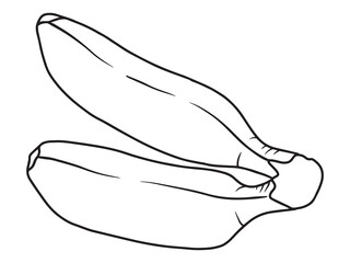 Hand Drawn Banana Fruit Black and White
