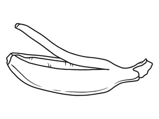 Sketch Banana Fruit Outline Illustration