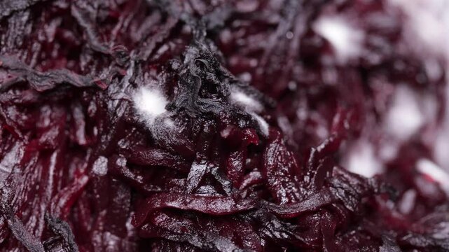 Spoiled boiled beets with white mold