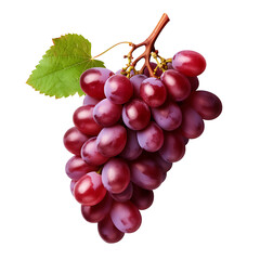 Fototapeta premium Fresh Red Grapes on Branch Isolated on White Background