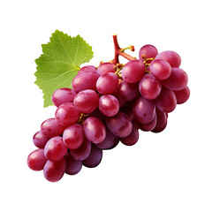 Fototapeta premium Fresh Red Grapes on Branch Isolated on White Background