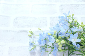 青い花の背景