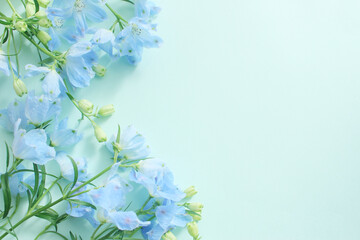 青い花の背景