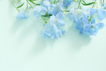 青い花の背景