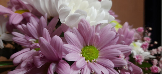 Horizontal photo of a bouquet of flowers with chrysanthemums in macro photography taken indoors