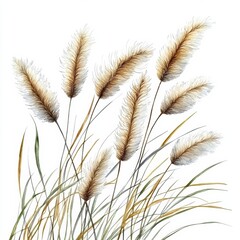 Fototapeta premium Watercolor dried grass on white background evokes tranquility and serenity.