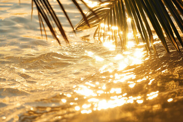 Transparent golden clear sea summer holiday water waves  with palm leaf, sunlight shadows on sandy beach background close up detail, travel and adventure concept.