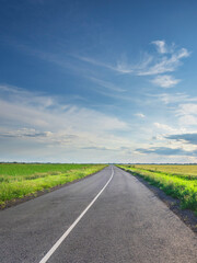 A long road with a clear blue sky above it