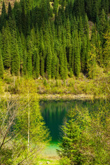 Obraz premium Summer lake kaindy in almaty. clean water in the mountains of kazakhstan