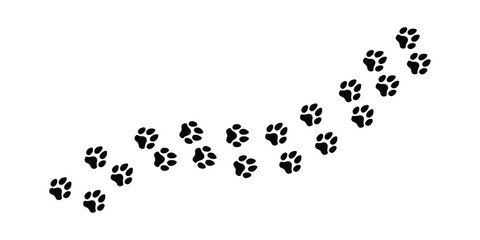 Dog and cat paw print path