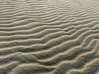 Photographic documentation of the beach shaped by the wind