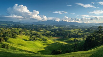 Obraz premium A vibrant untouched land with rich soil and lush grass.